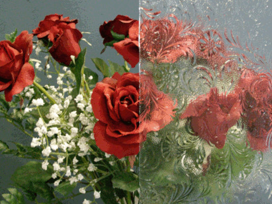 textured glass C1012  Clear Floral