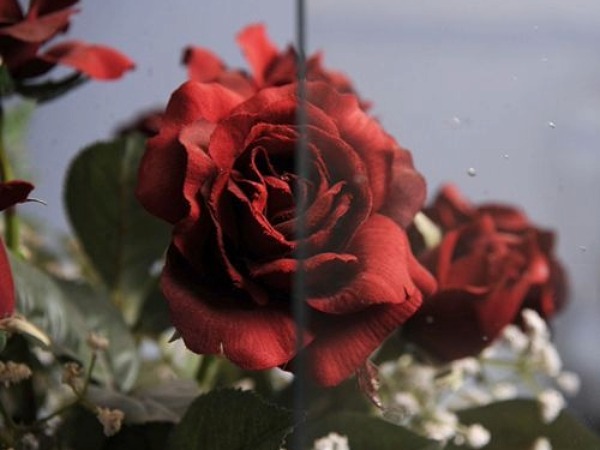 textured glass CG105