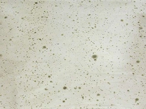 textured glass MG170