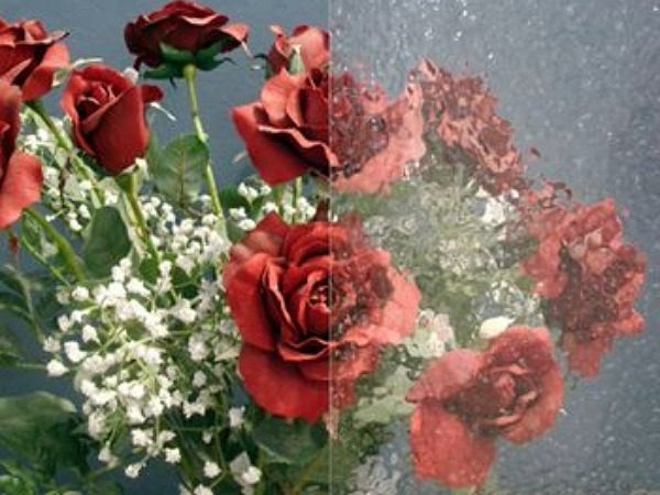 textured glass W1250